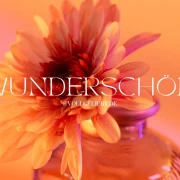 Wunderschön, Minikarte