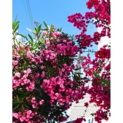 Bedingungslos, Lesezeichen (5,5x17cm)