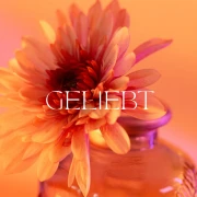 Geliebt, Grußkarte  A6 Postkartengröße