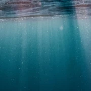 Lesezeichen, Gottes Plan ( 5,5x17cm)