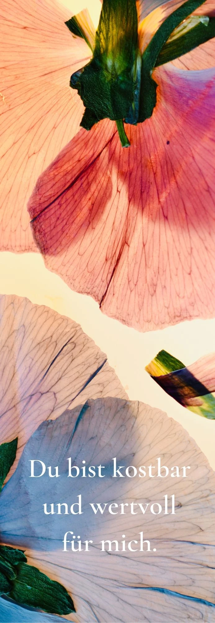 Lesezeichen, Du bist Kostbar ( 5,5x17cm)