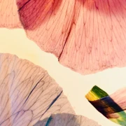 Lesezeichen, Du bist Kostbar ( 5,5x17cm)