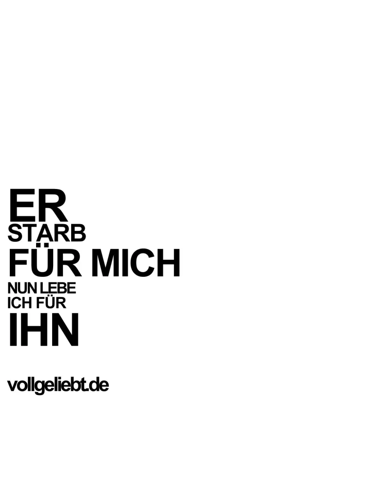 Oversized T-Shirts UNISEX/ Für mich